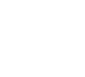 PMI Logo Mark